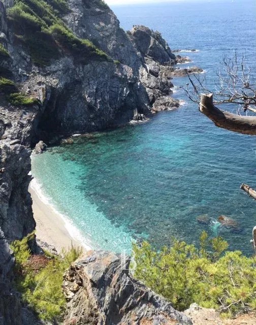 Ev Le Brusc - picture 18