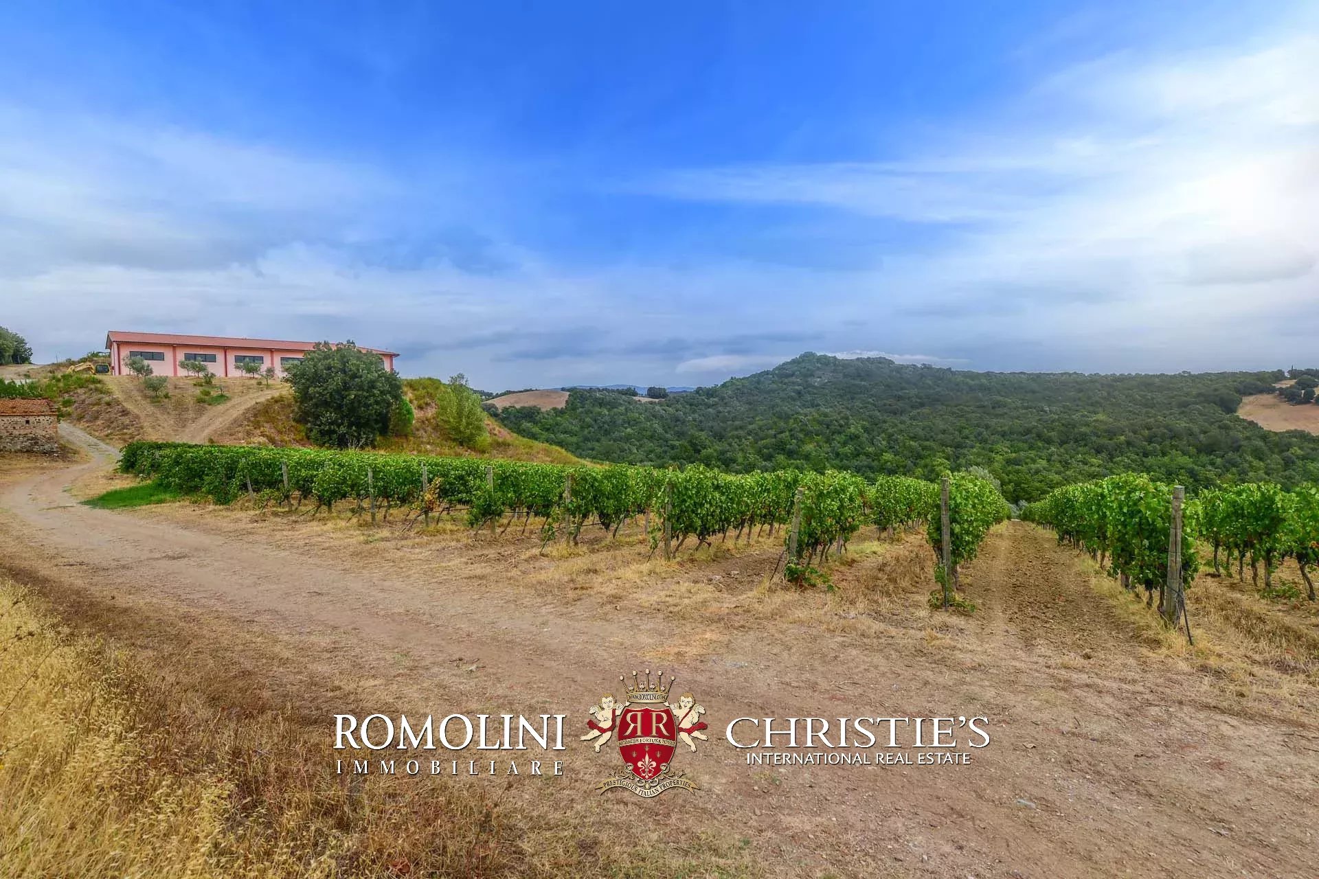 6 Bedroom Vineyard's Image 3