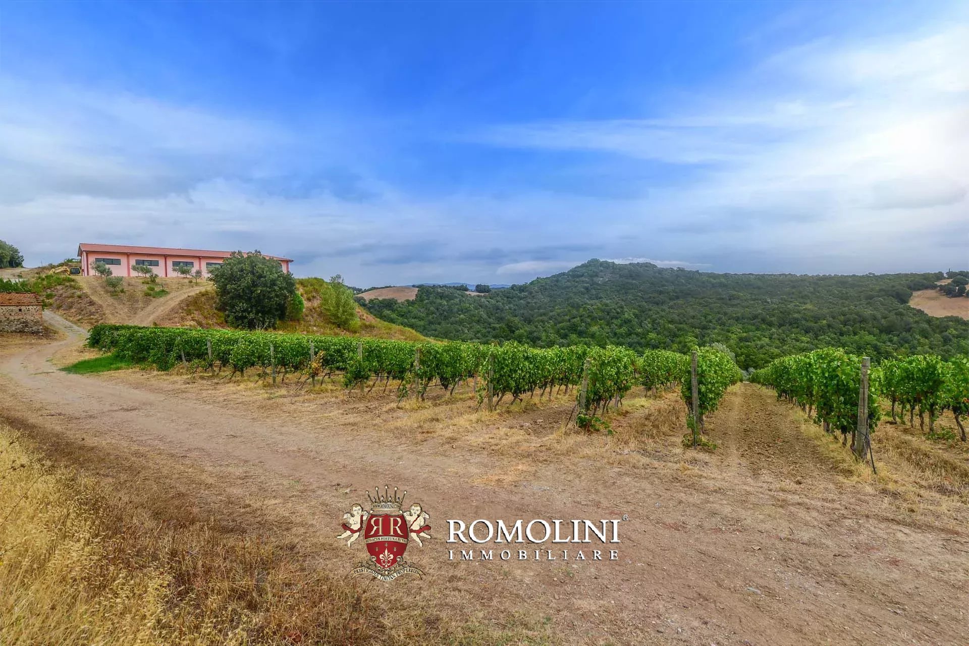 6 Bedroom Vineyard's Image 3