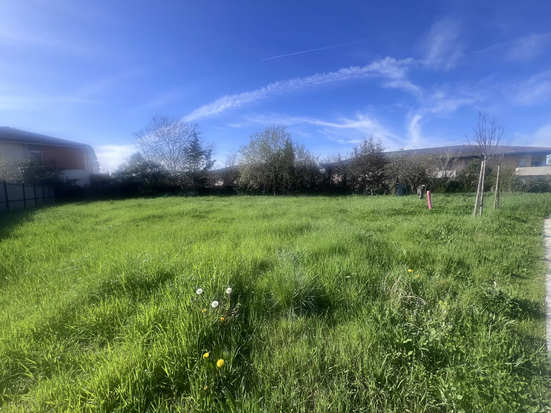 Agence immobilière de Agence Casa Rosa