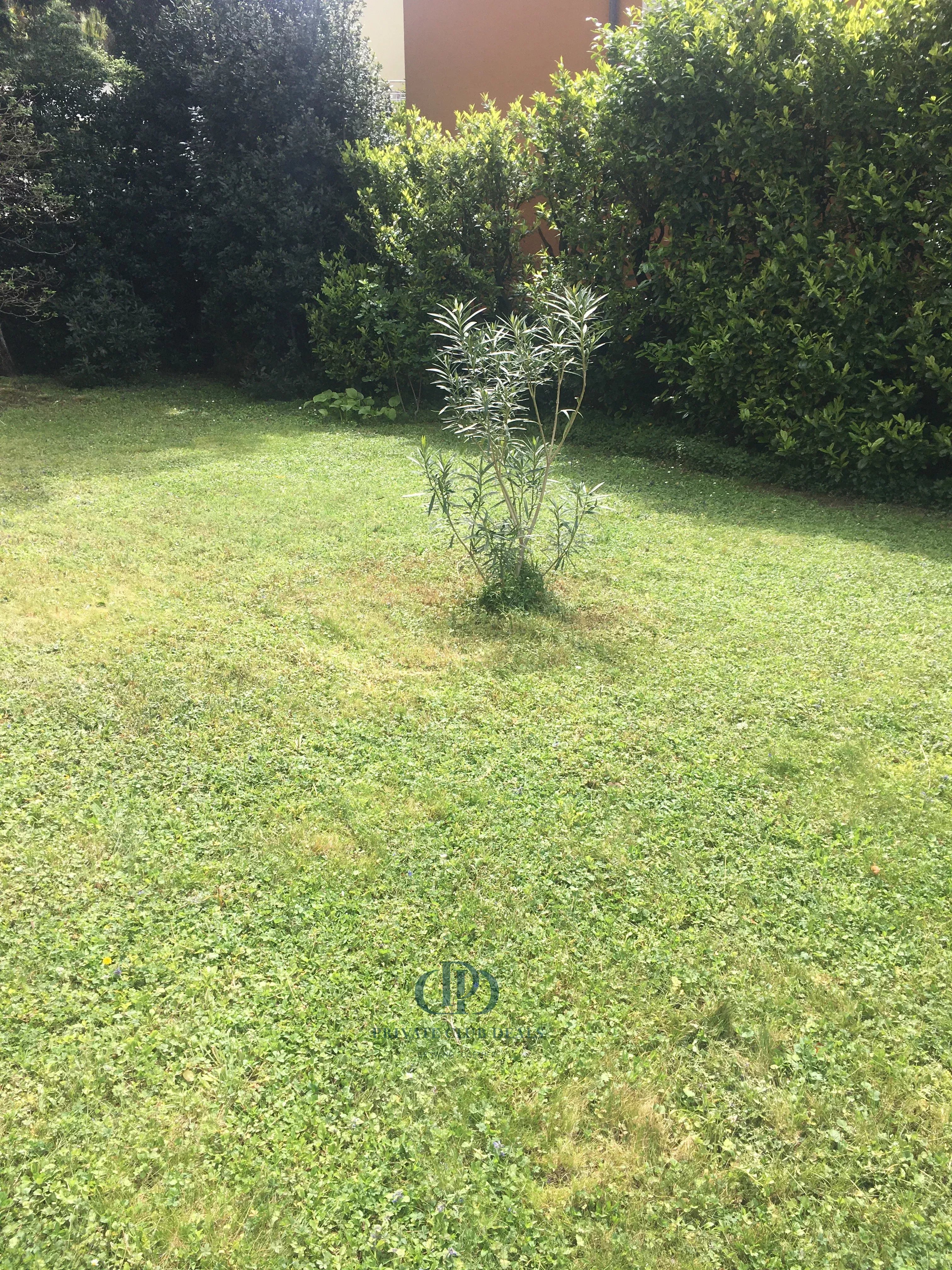 Daire Campione d'Italia