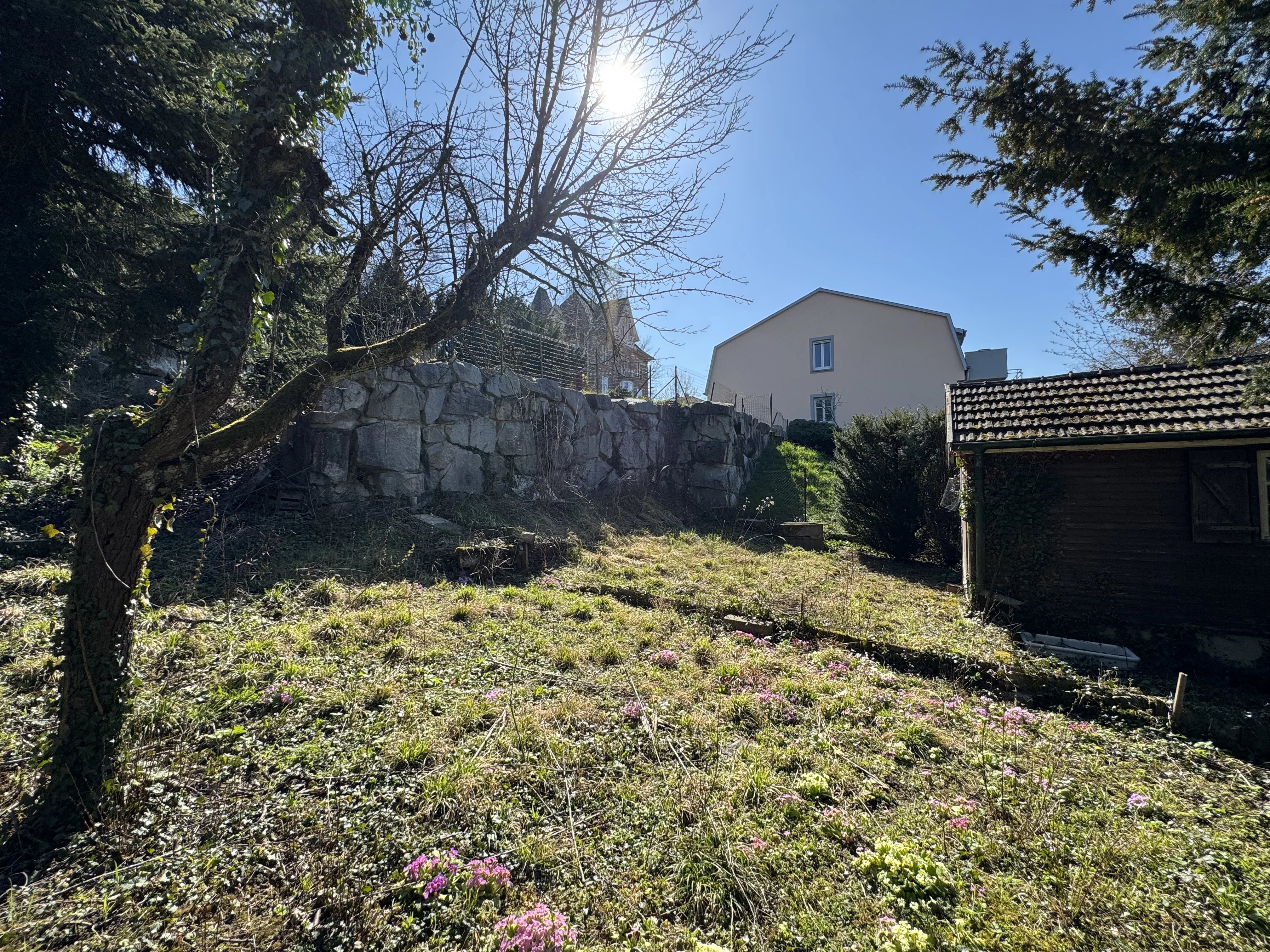 ALTKIRCH – TERRAIN À BÂTIR DE 8,56 ARES — photo 8