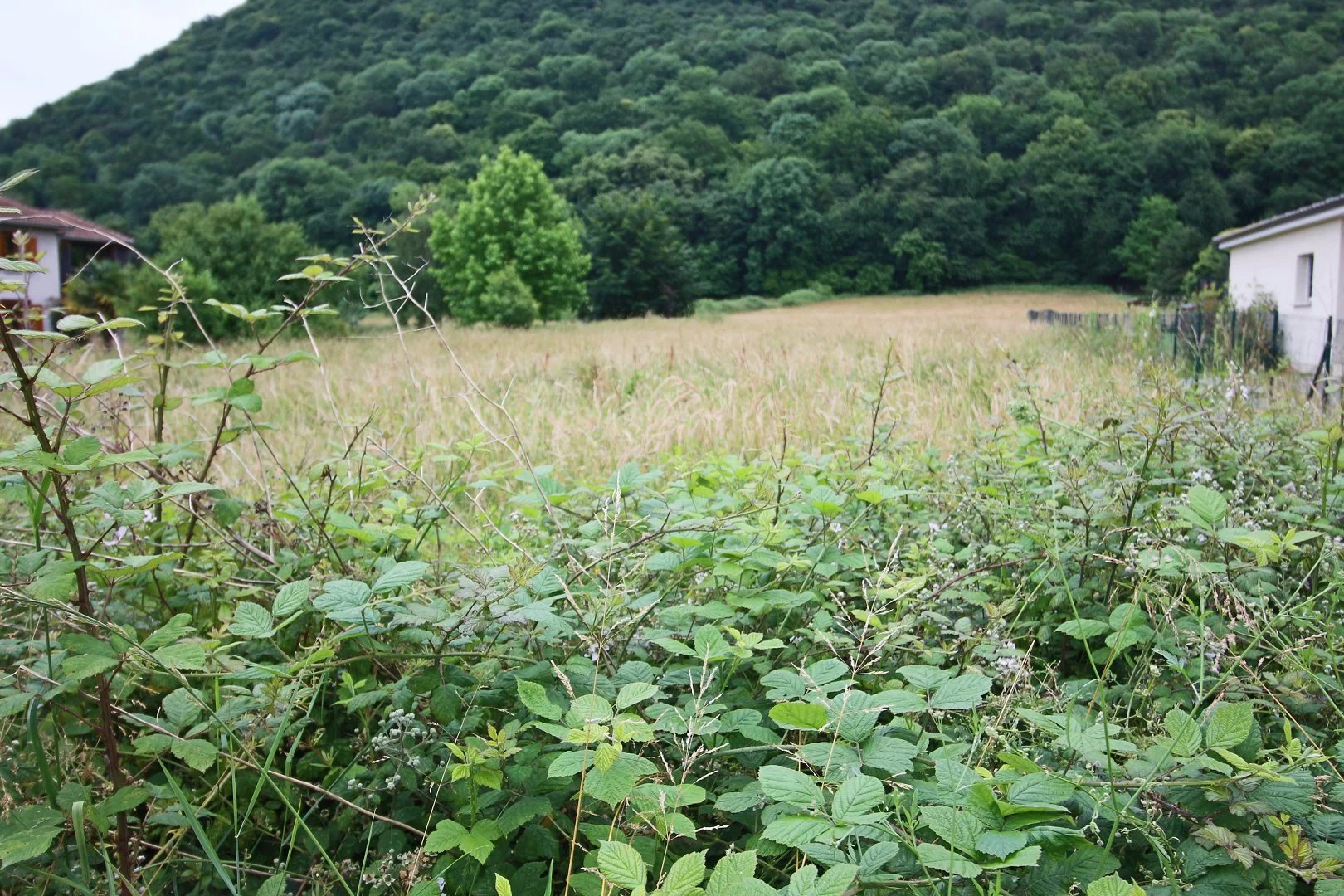 Vente Terrain Ardiège