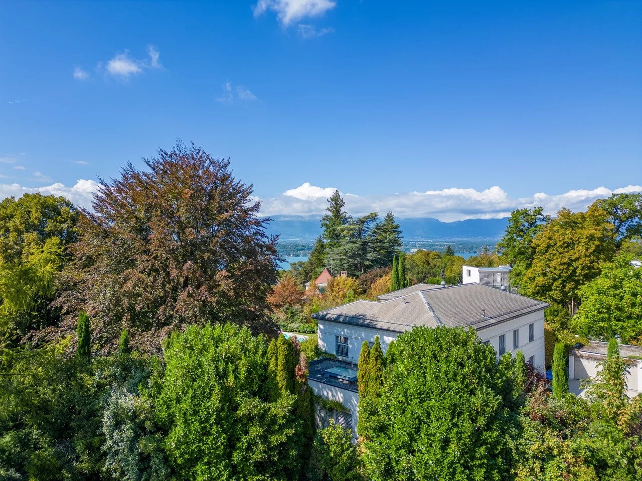 Projet exclusif à Cologny - Villa 2