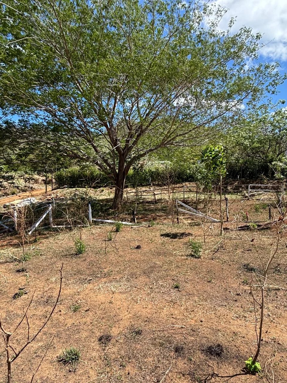 Sale Residential land Tamarindo