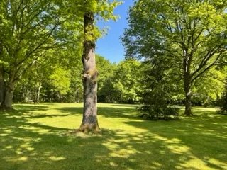 À vendre Terrain constructible | Grosrouvre - picture 3