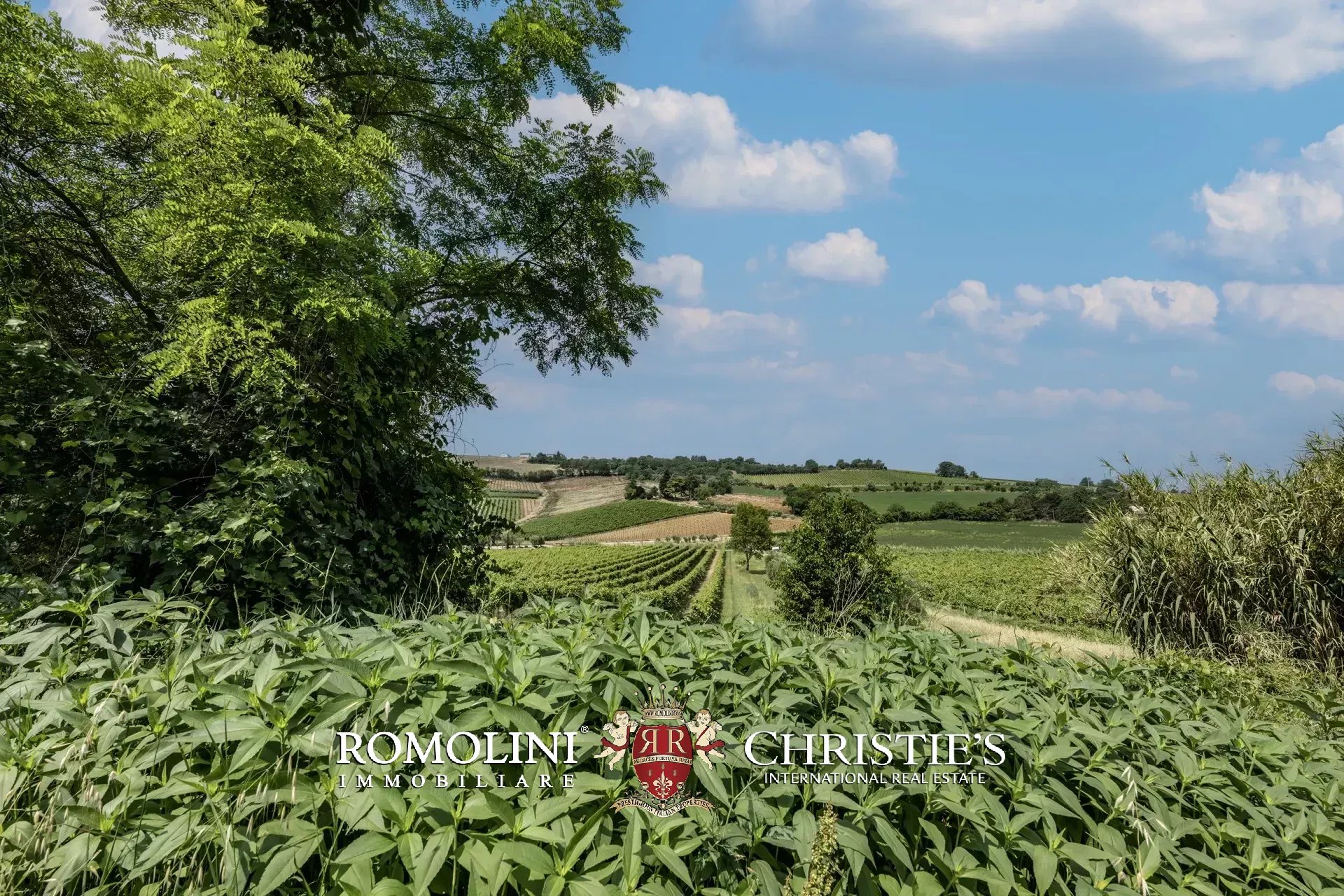16 Bedroom Vineyard's Image 10
