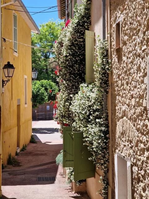 Vieil Antibes - Splendide F2 de 62 m²