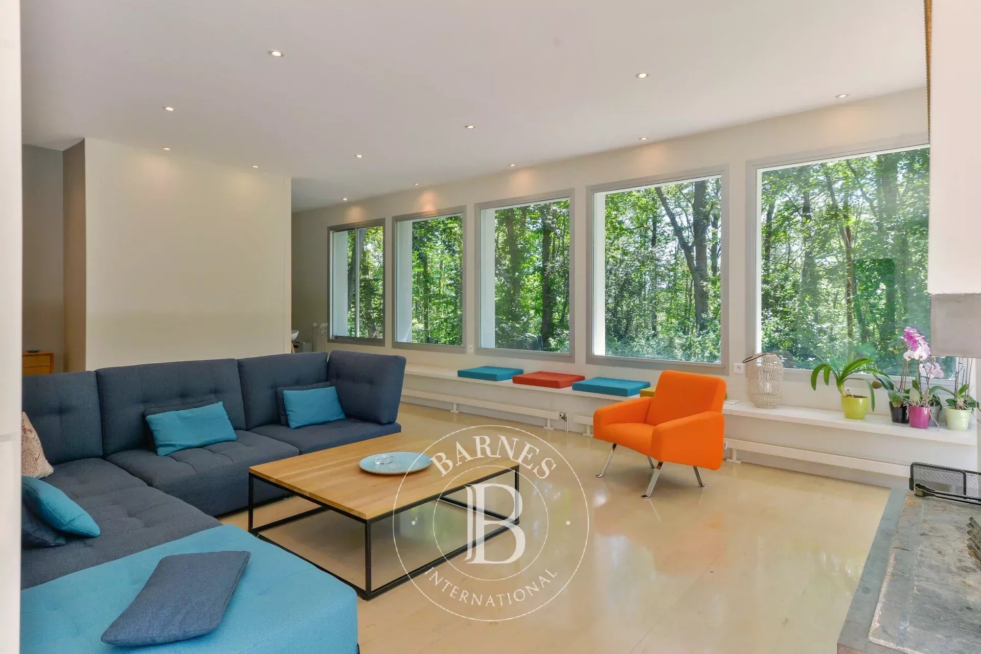 Ev Tassin-la-Demi-Lune - picture 4