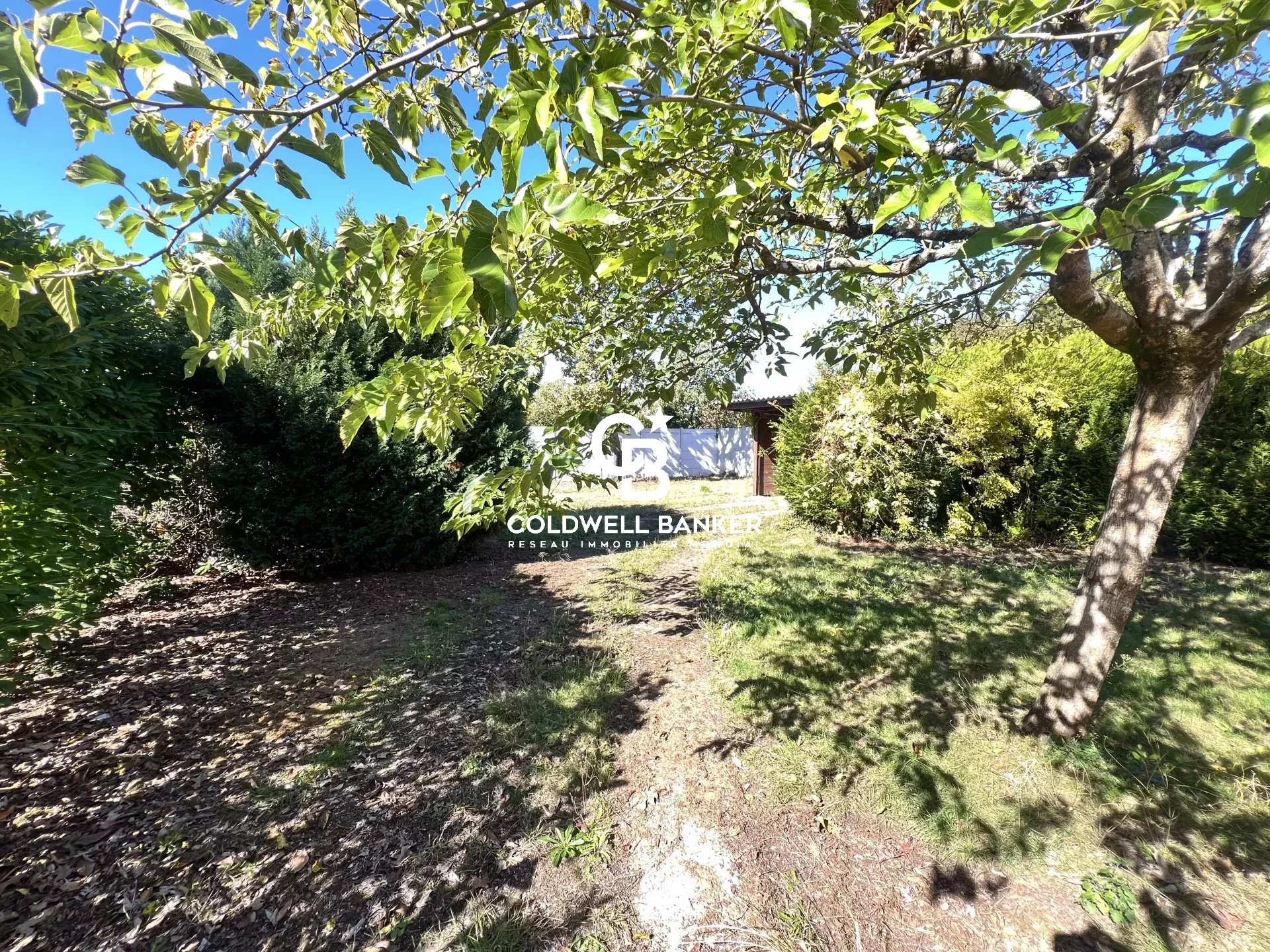 Agence immobilière de Silver Coast Int. Realty