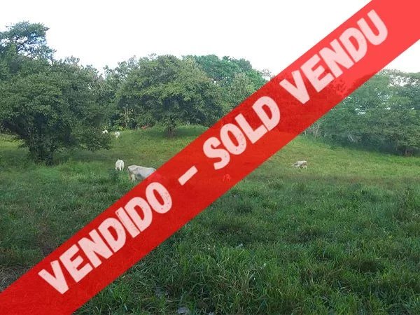 VENDU - Finca (propriété) de 14 hectares