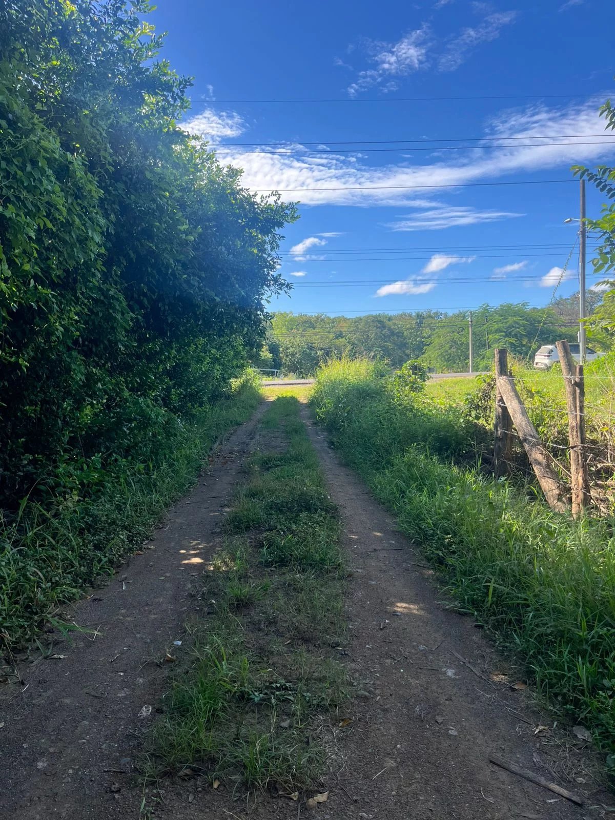 Sale Plot of land Santa Cruz