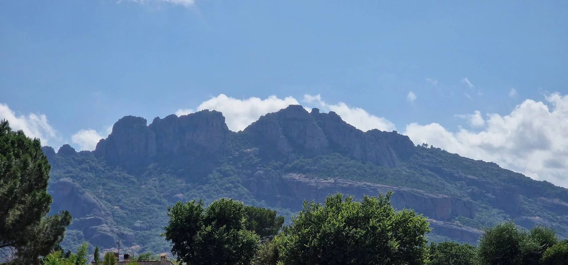 Vente Terrain Roquebrune-sur-Argens