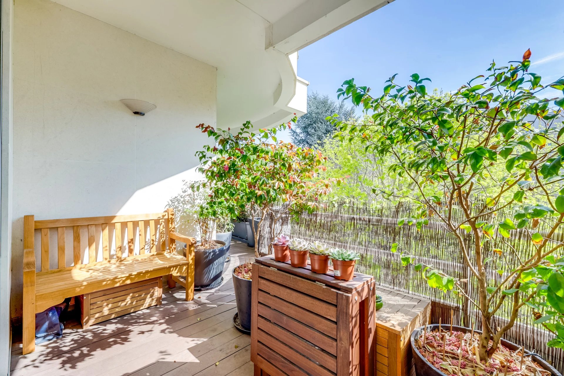 Photo 5 du bien N°86640876