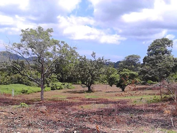 EXCLUSIVITY – 4120 m² Plot Just Minutes from Tamarindo