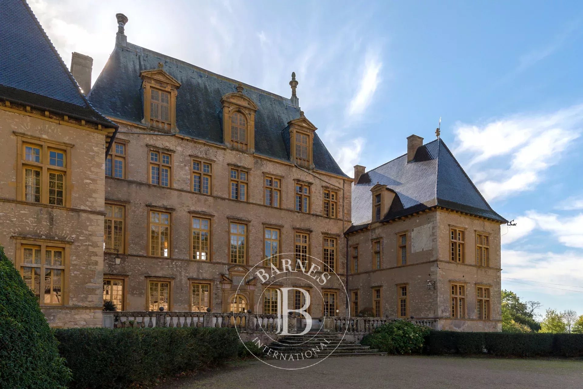 Fareins  - Château 30 Pi&egrave;ces 8 Chambres - picture 2