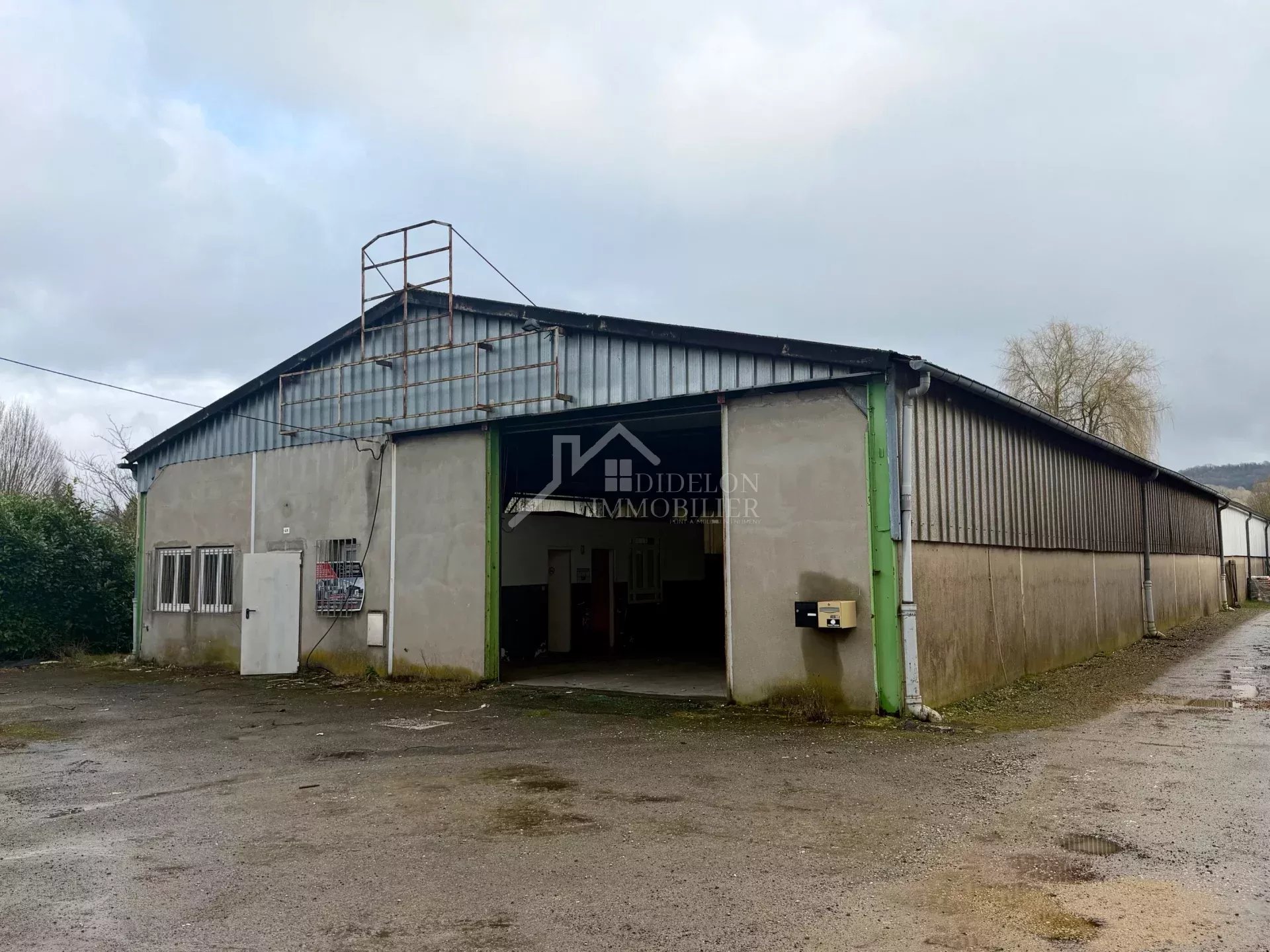 Agence immobilière de 