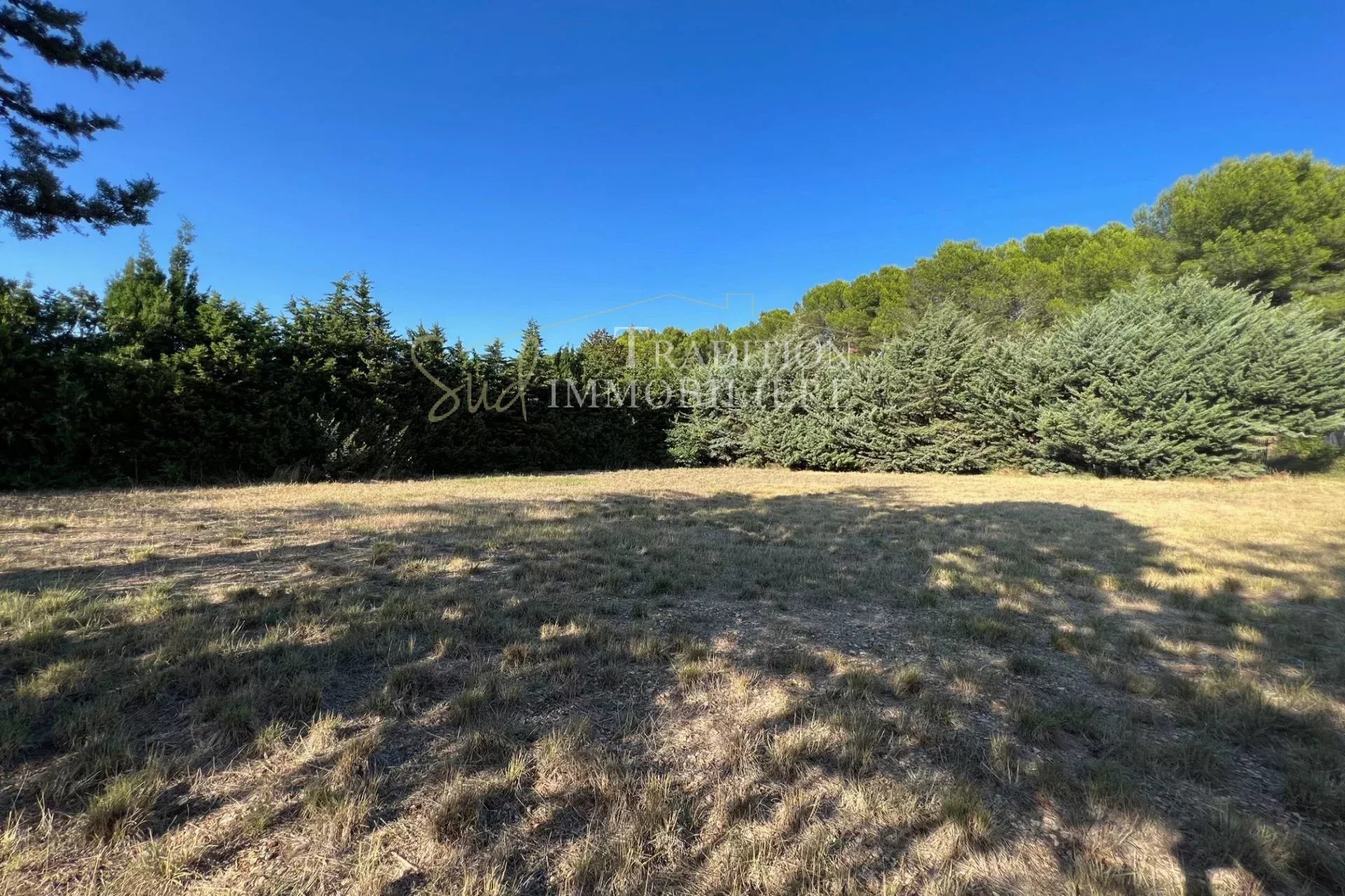 Agence immobilière de ZUNINO