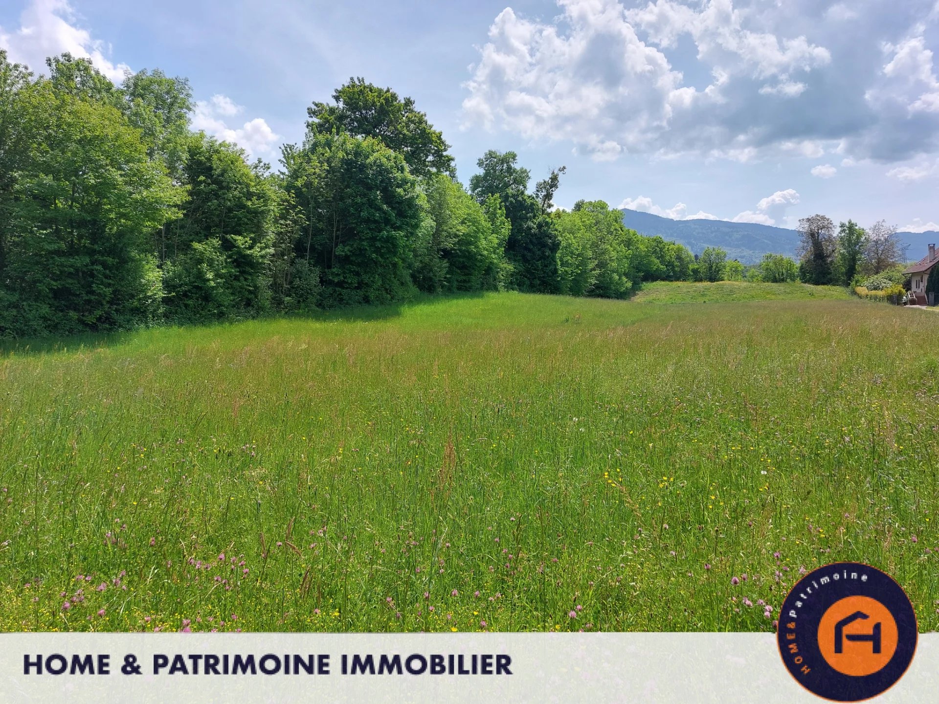 Vente Terrain Perrignier