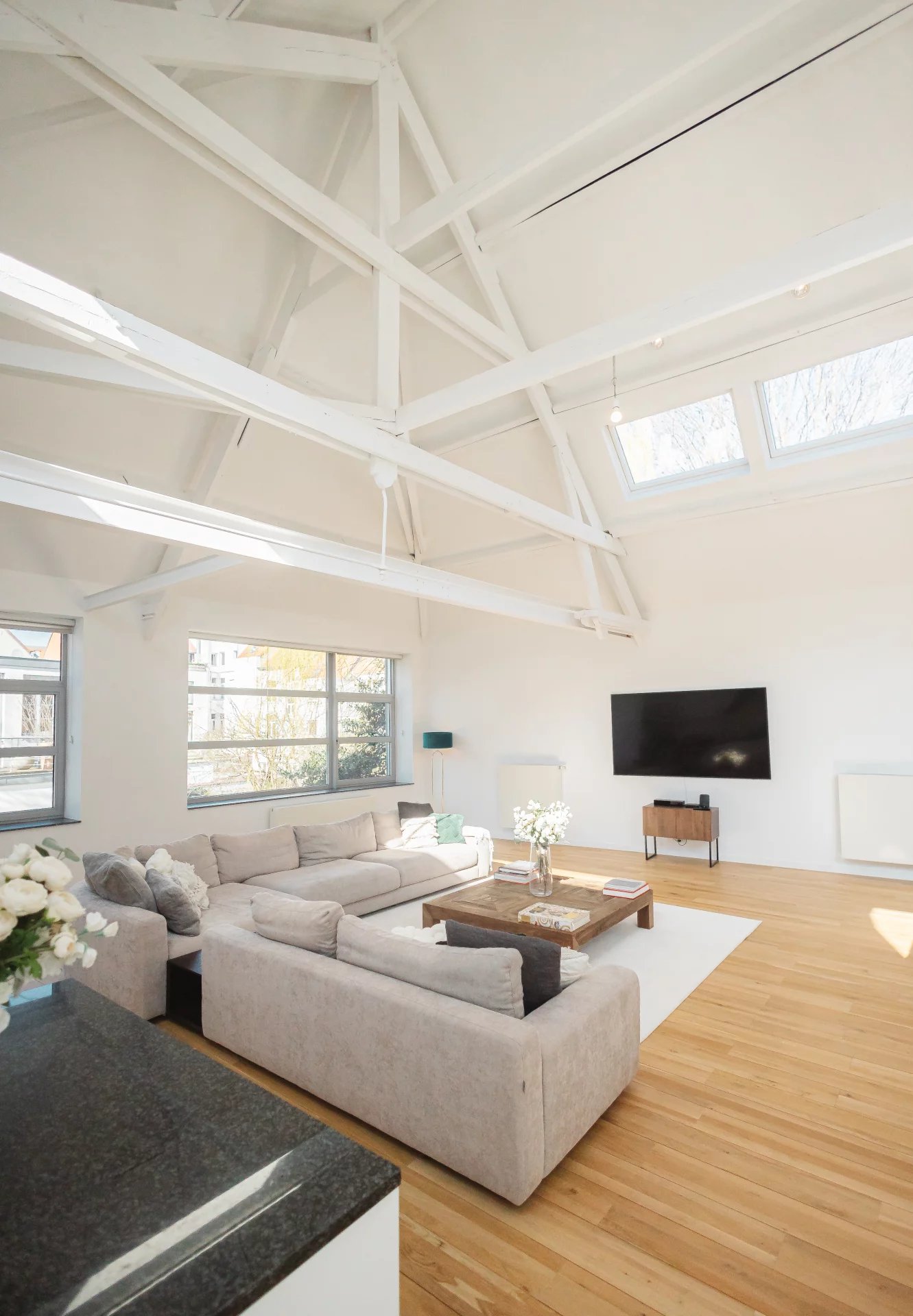 Ev Ixelles - picture 5