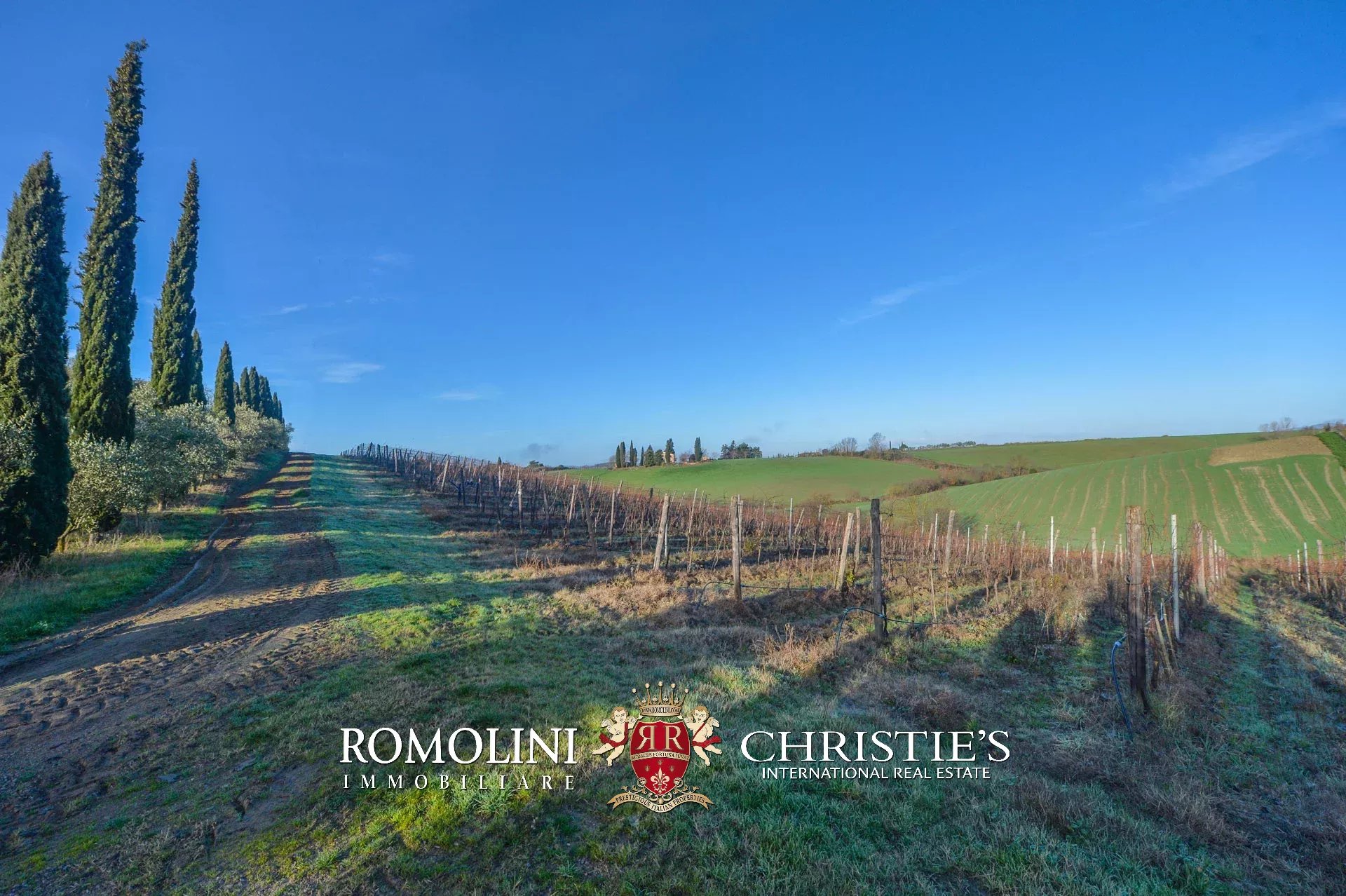 6 Bedroom Vineyard's Image 11