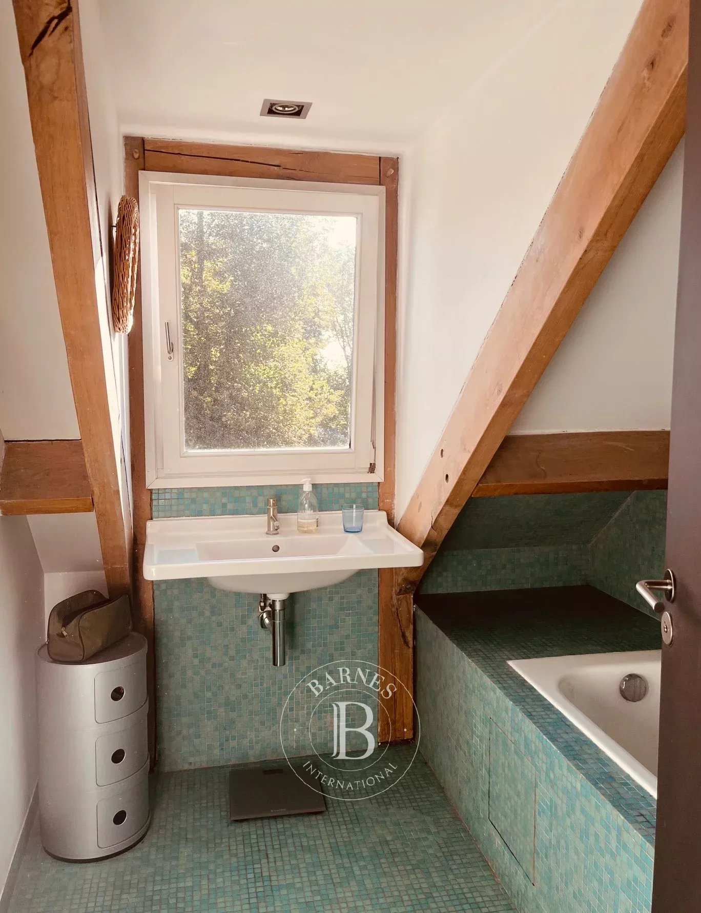 Ev Meudon - picture 21