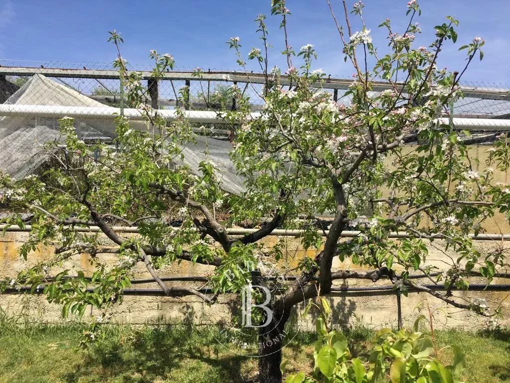 Villa Sanremo - picture 18