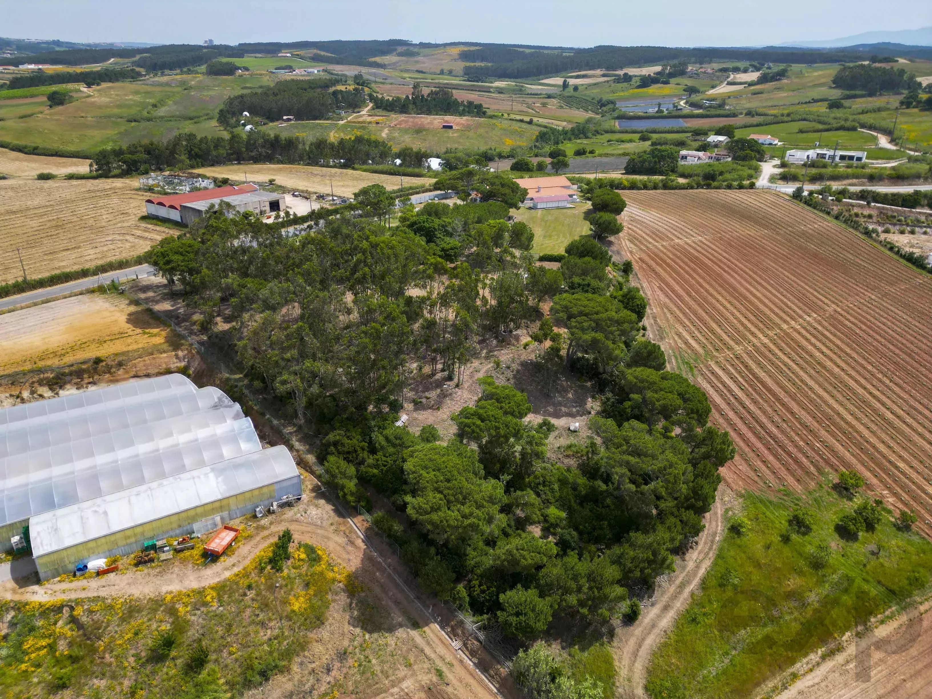 A dos Cunhados - Commercial farm with a plot of land measuring 9630 square meters 87016840 image 37