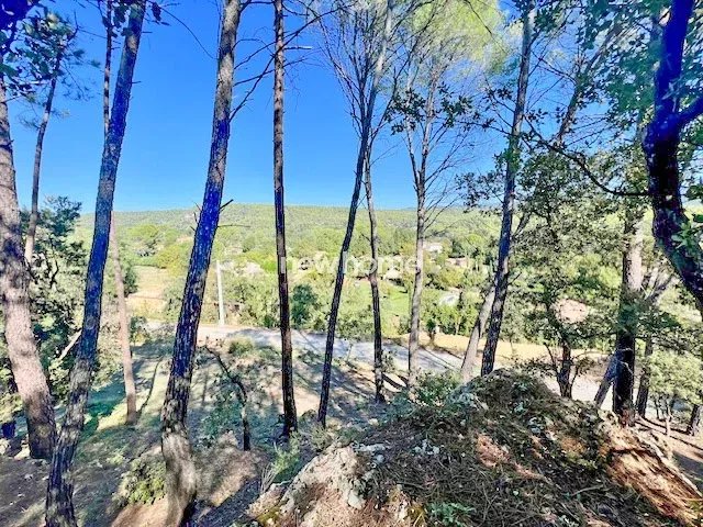 Agence immobilière de New Home Lorgues