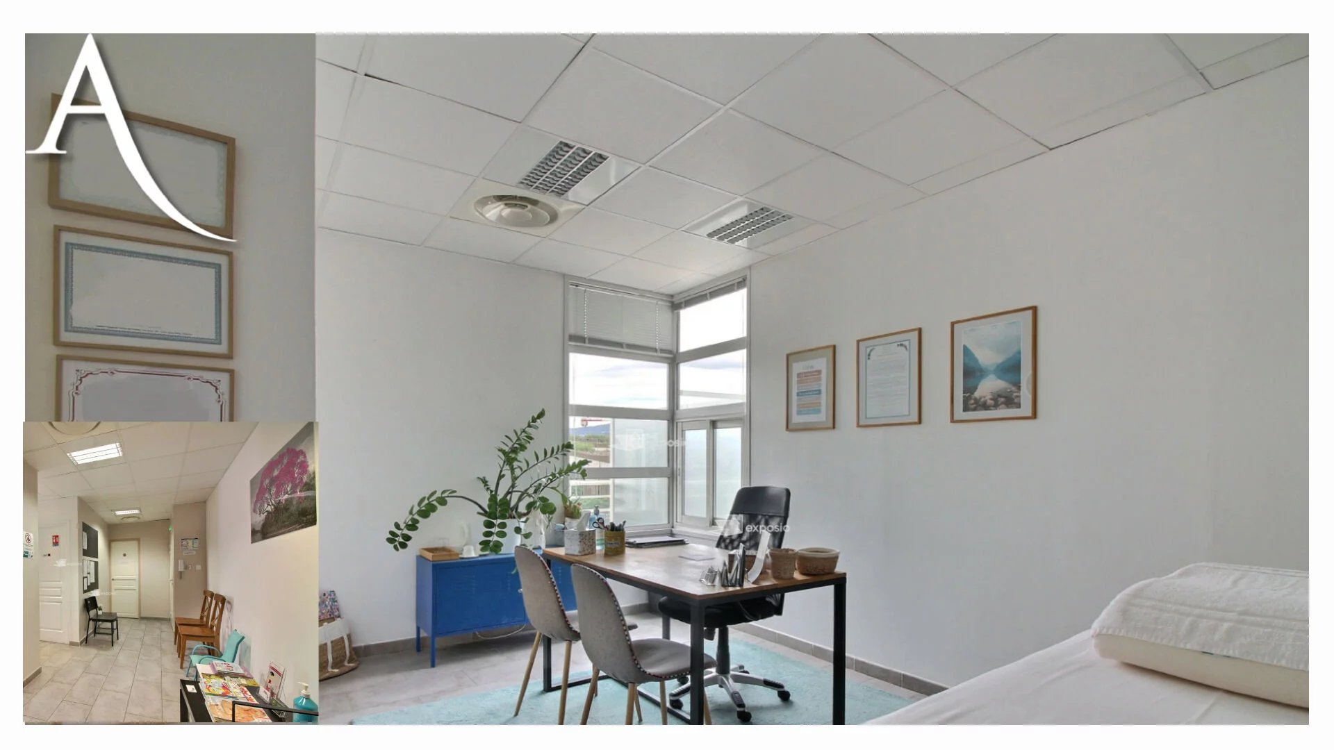 Local Professionnel Mouans Sartoux