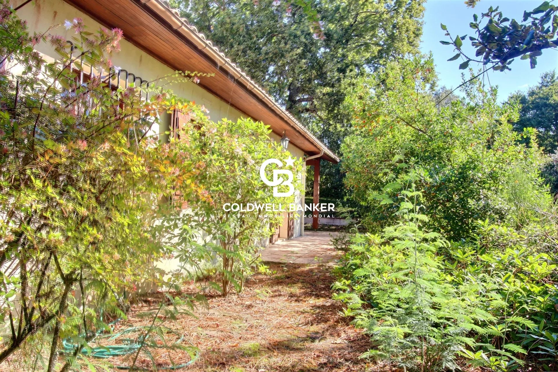 Agence immobilière de Silver Coast Int. Realty