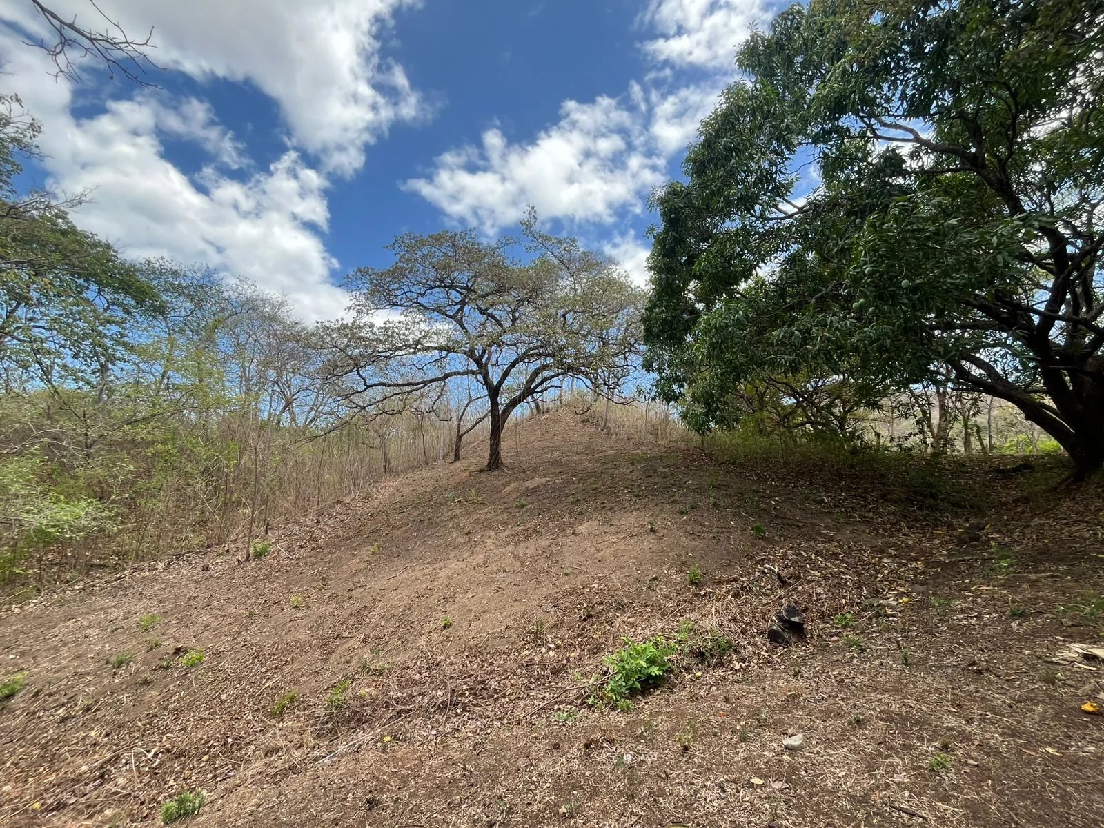 Venta Terreno residencial  Cabo Velas