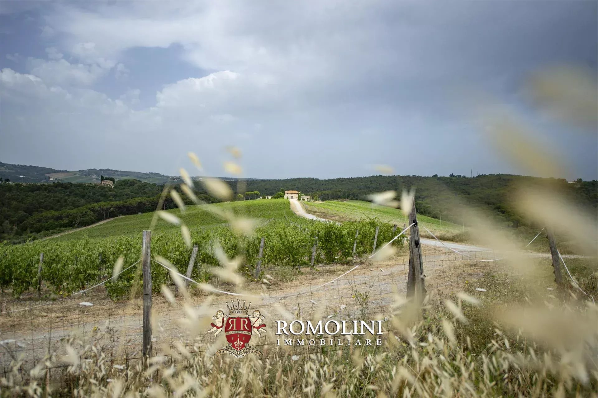 6 Bedroom Vineyard's Image 8