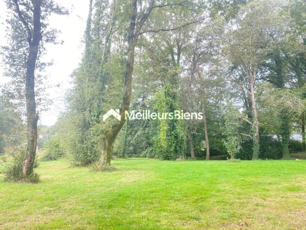 Vente Terrain Pluvigner