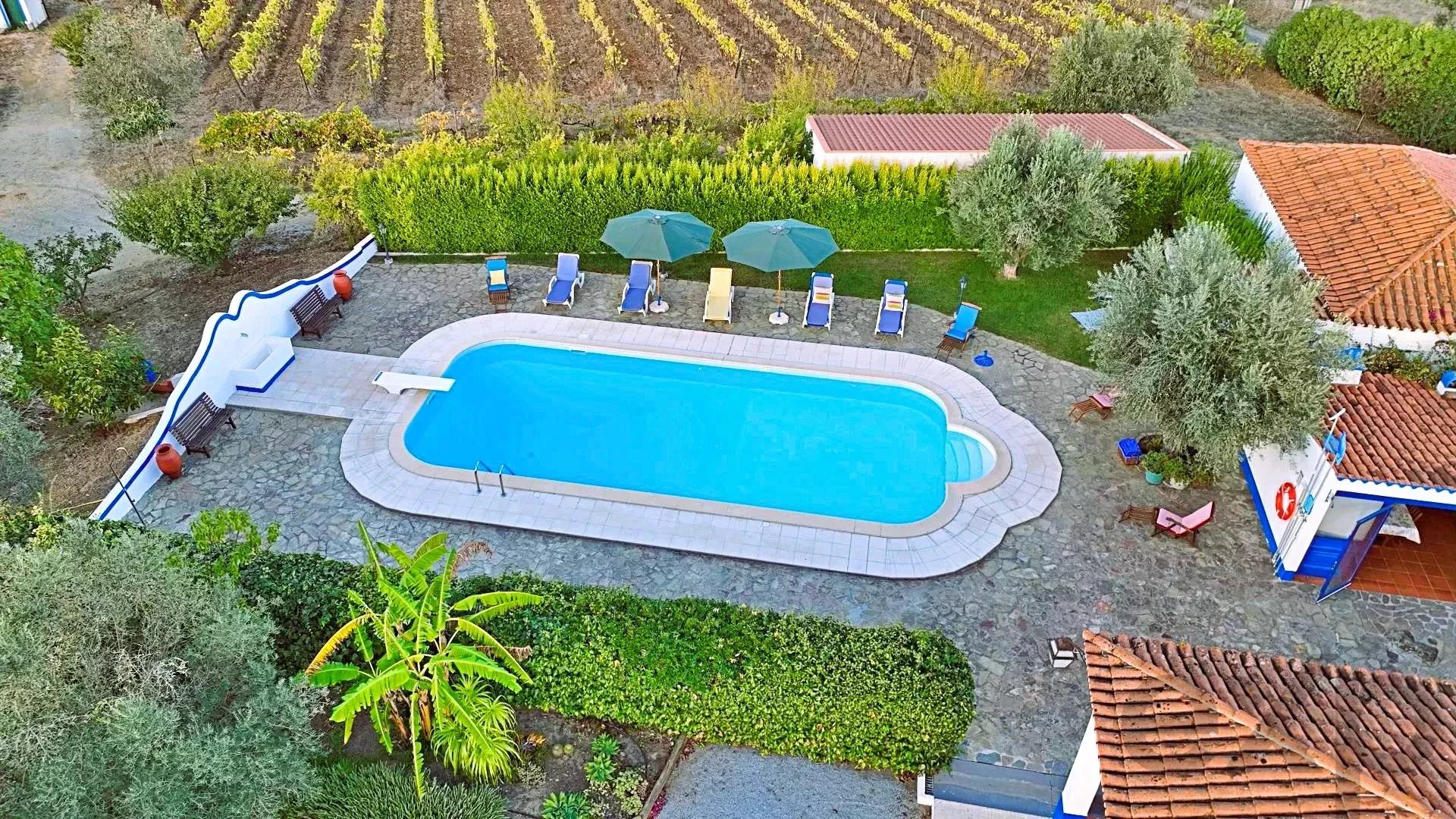 Charming Monte Alentejano and Wine Estate 86384492 image 34