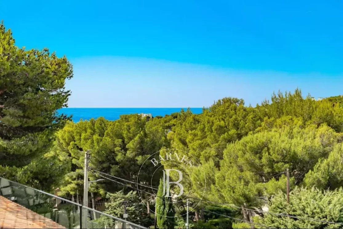 Ev Cassis - picture 12