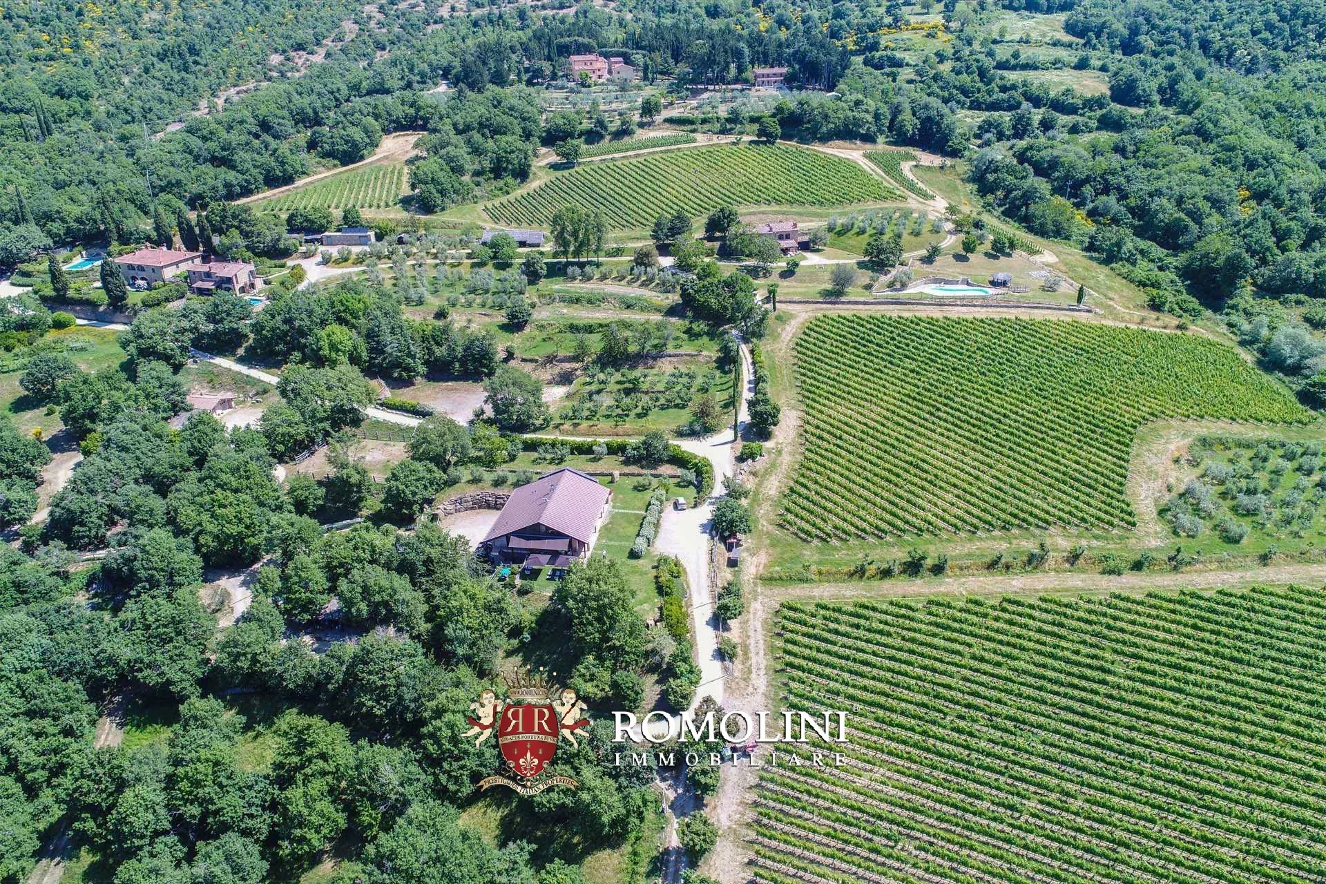 16 Bedroom Vineyard's Image 25