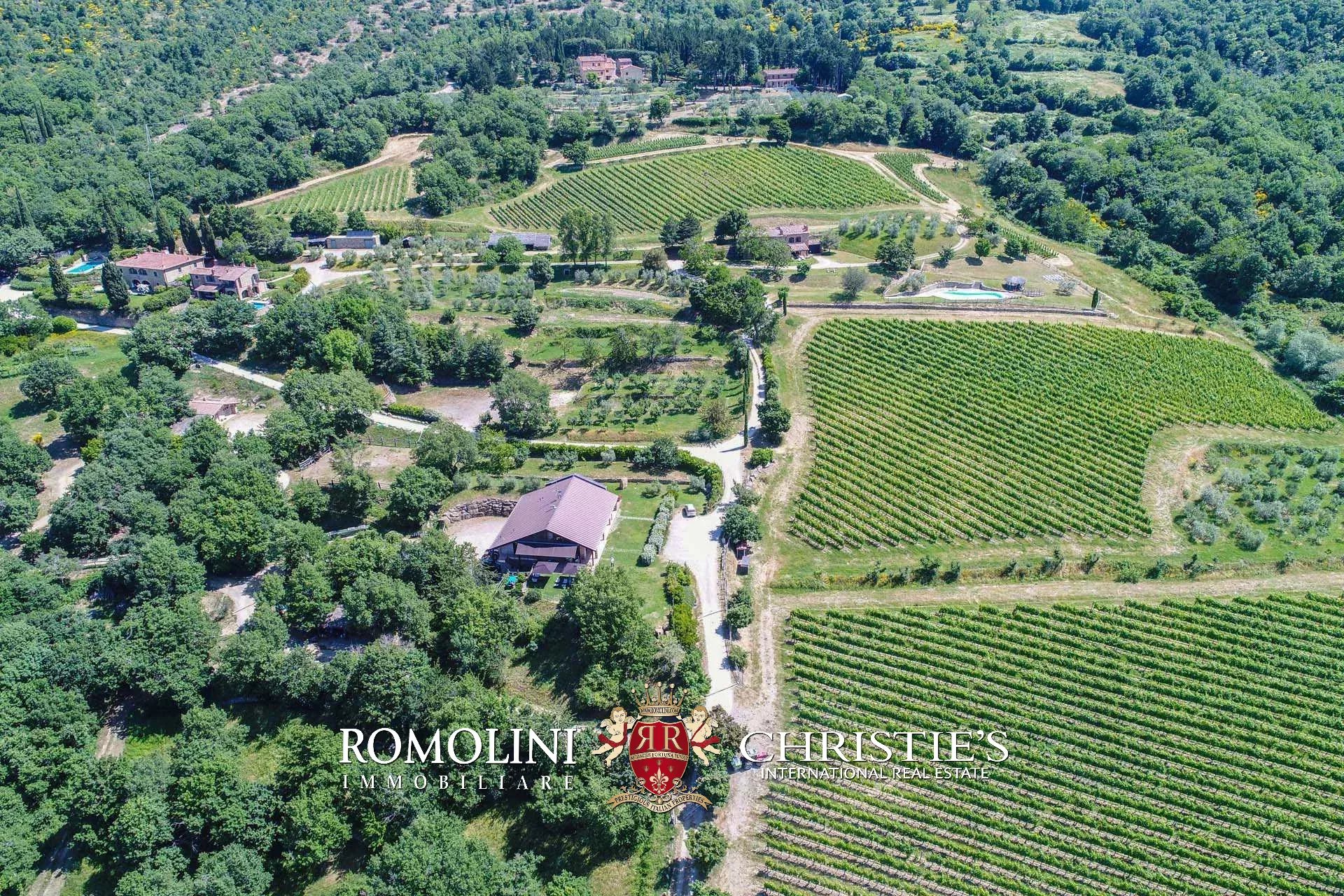 16 Bedroom Vineyard's Image 25