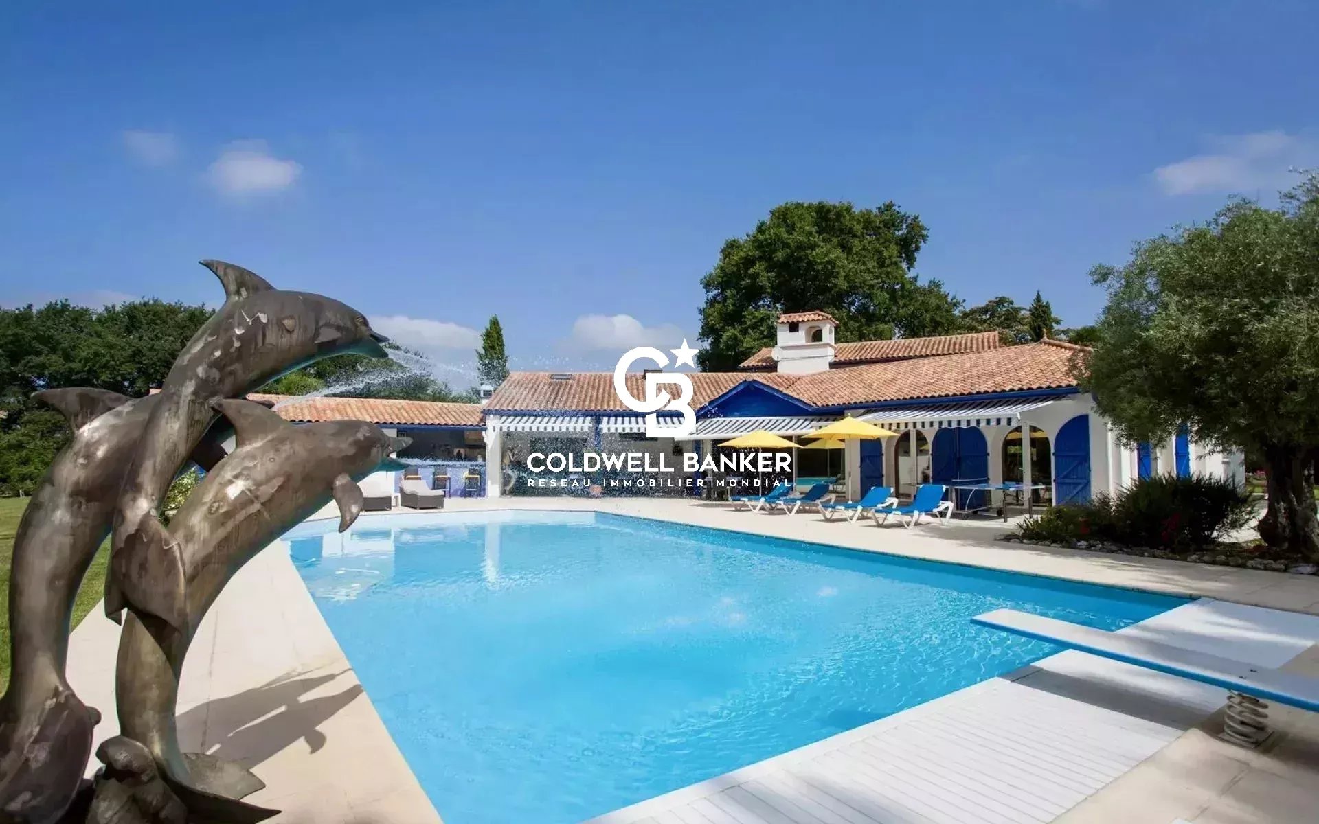 Agence immobilière de Silver Coast Int. Realty