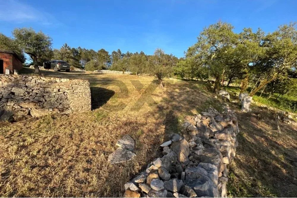 TERRENO DE 1440 m2 COM PROJETO EM ALQUEIDÃO DA SERRA. PORTO DE MÓS