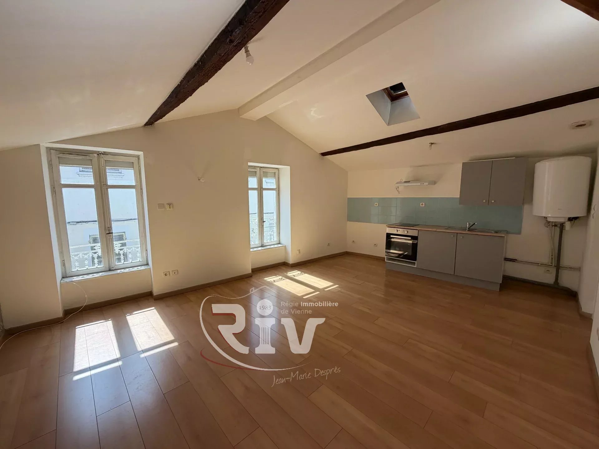 Location Appartement Vienne