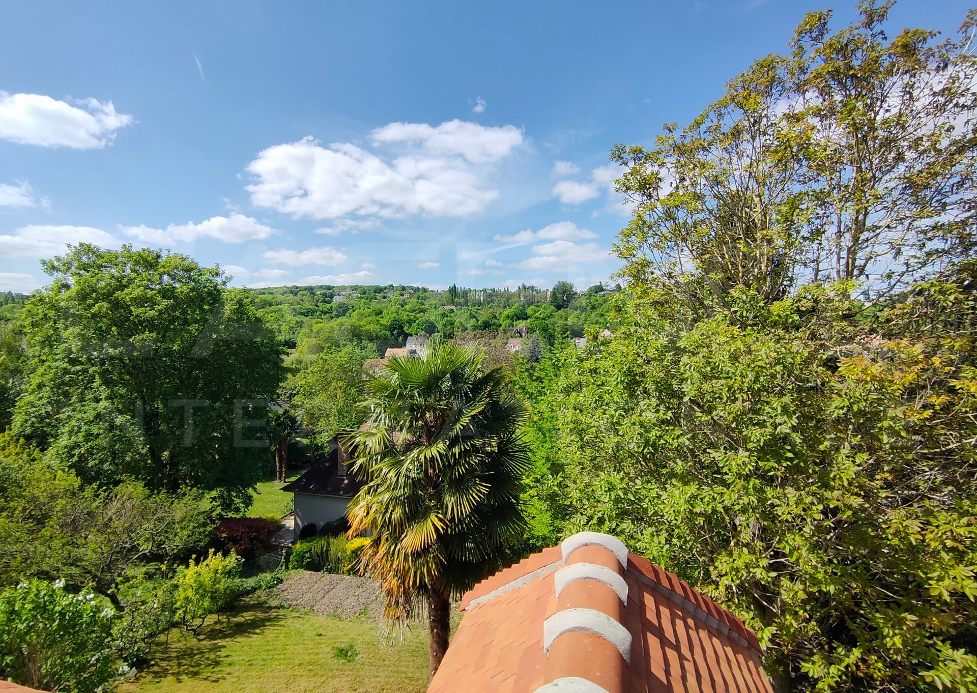 Image de la propriété 13