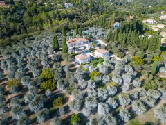 EXCEPTIONAL PROPERTY IN THE HEART OF AN OLIVE GROVE — photo 1 of 7