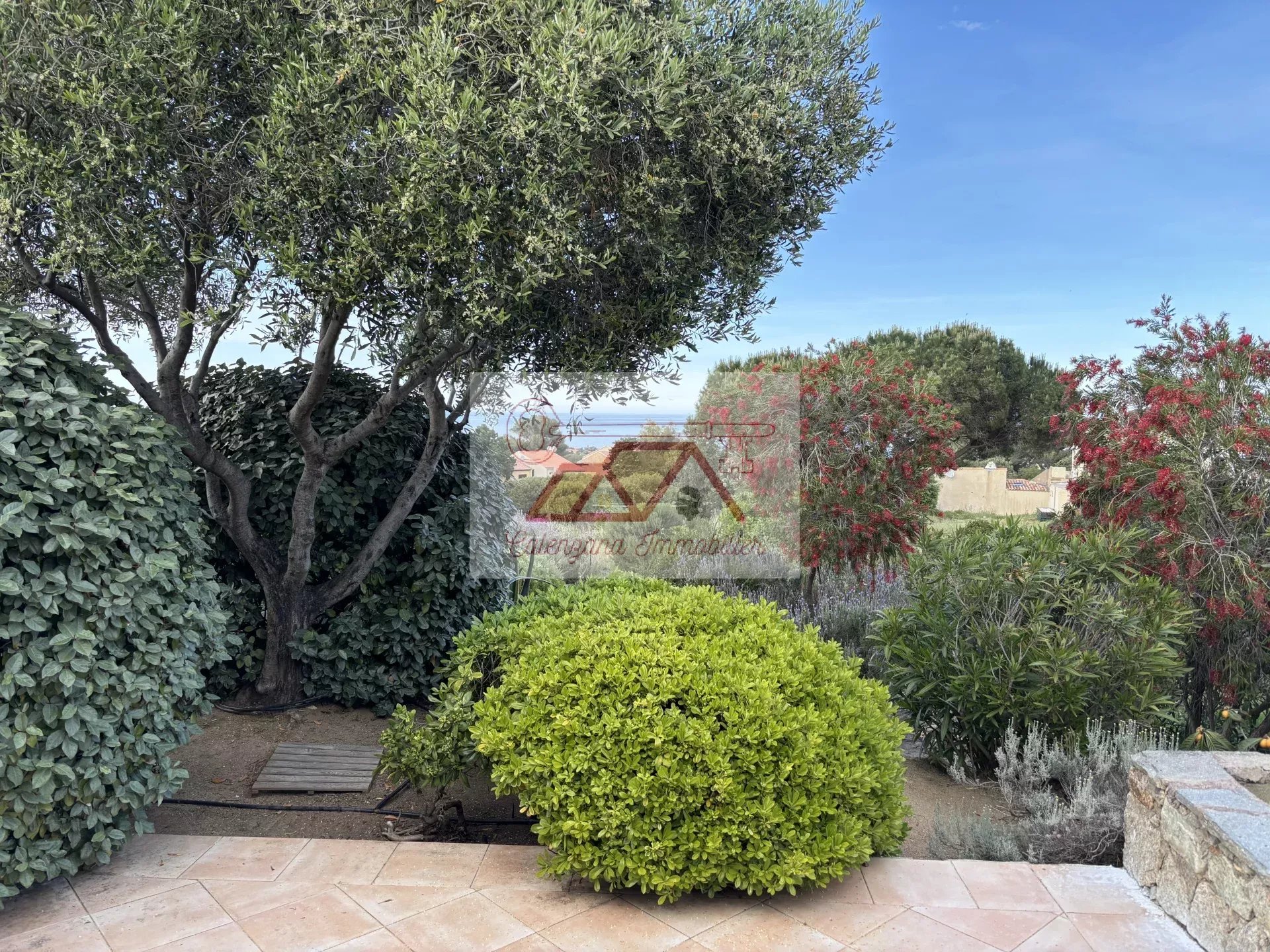 Maison à vendre, 3 pièces, 49 m², Lumio