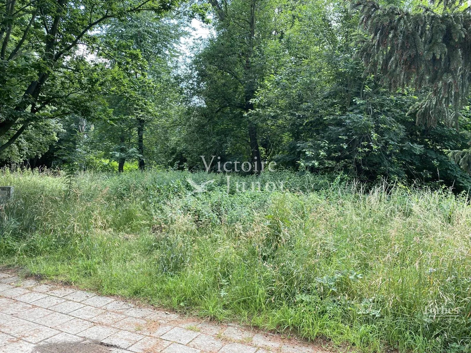 realisatie 86576735