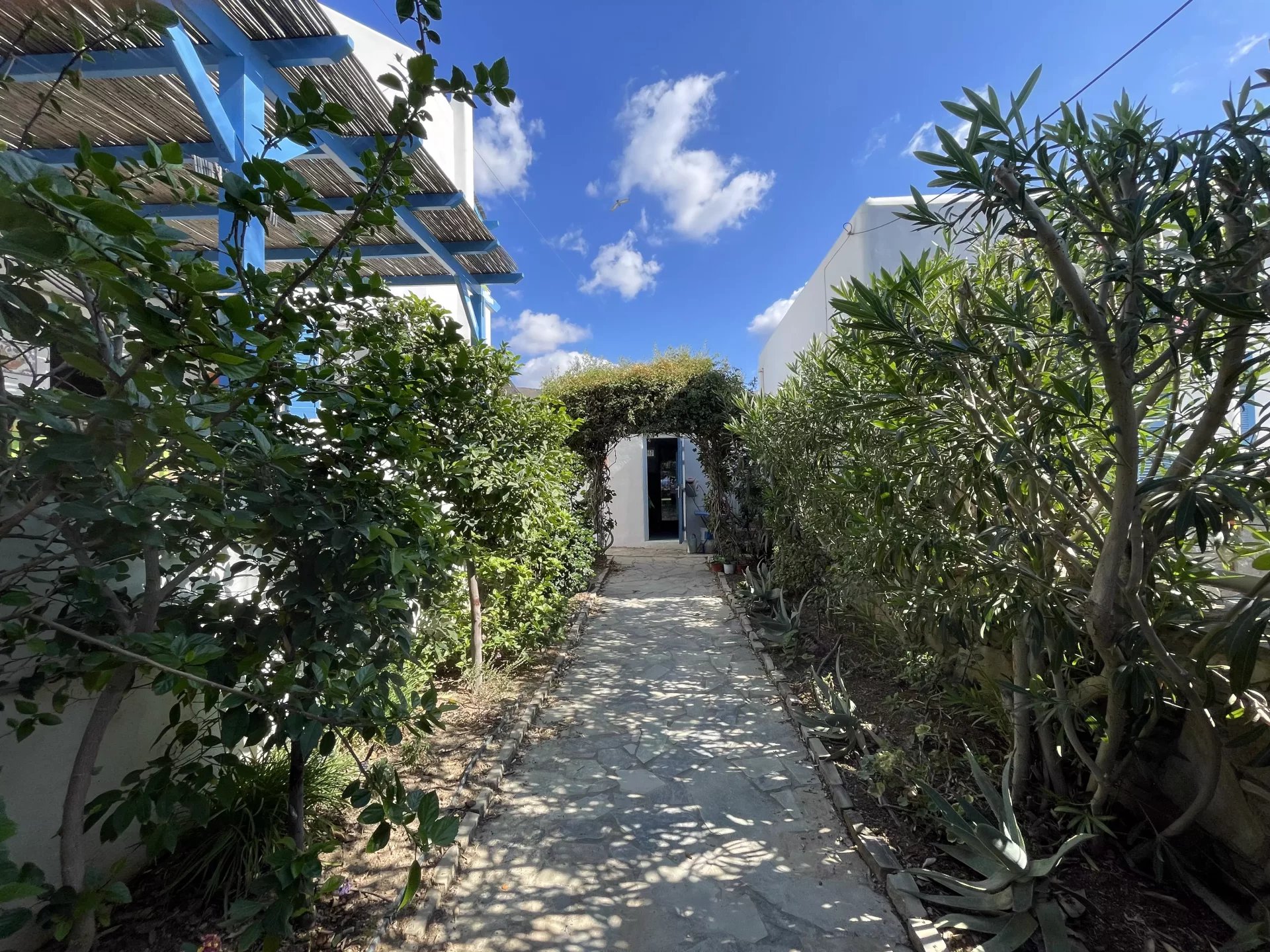 Εικόνα ιδιοκτησίας 24