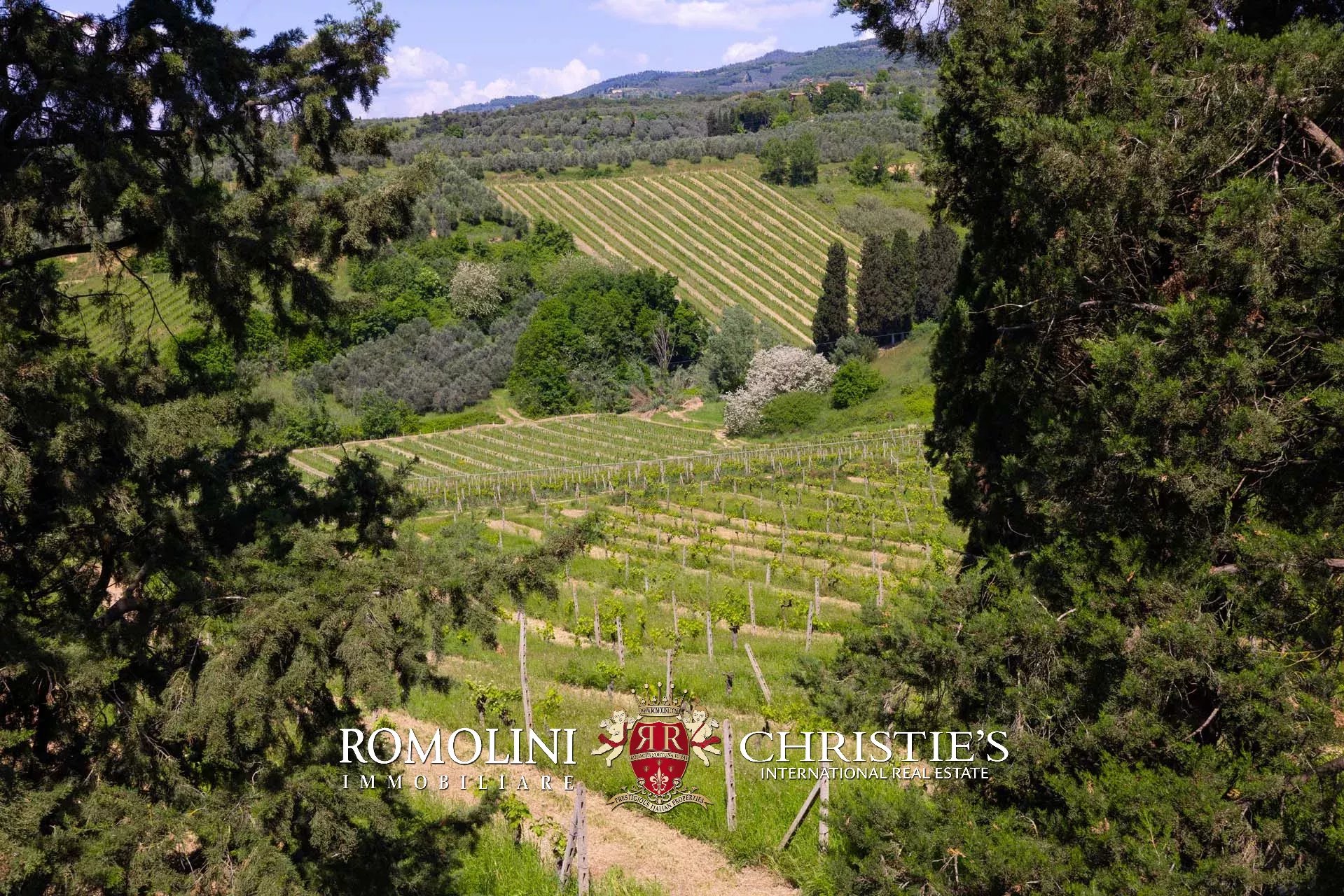 30 Bedroom Vineyard's Image 71