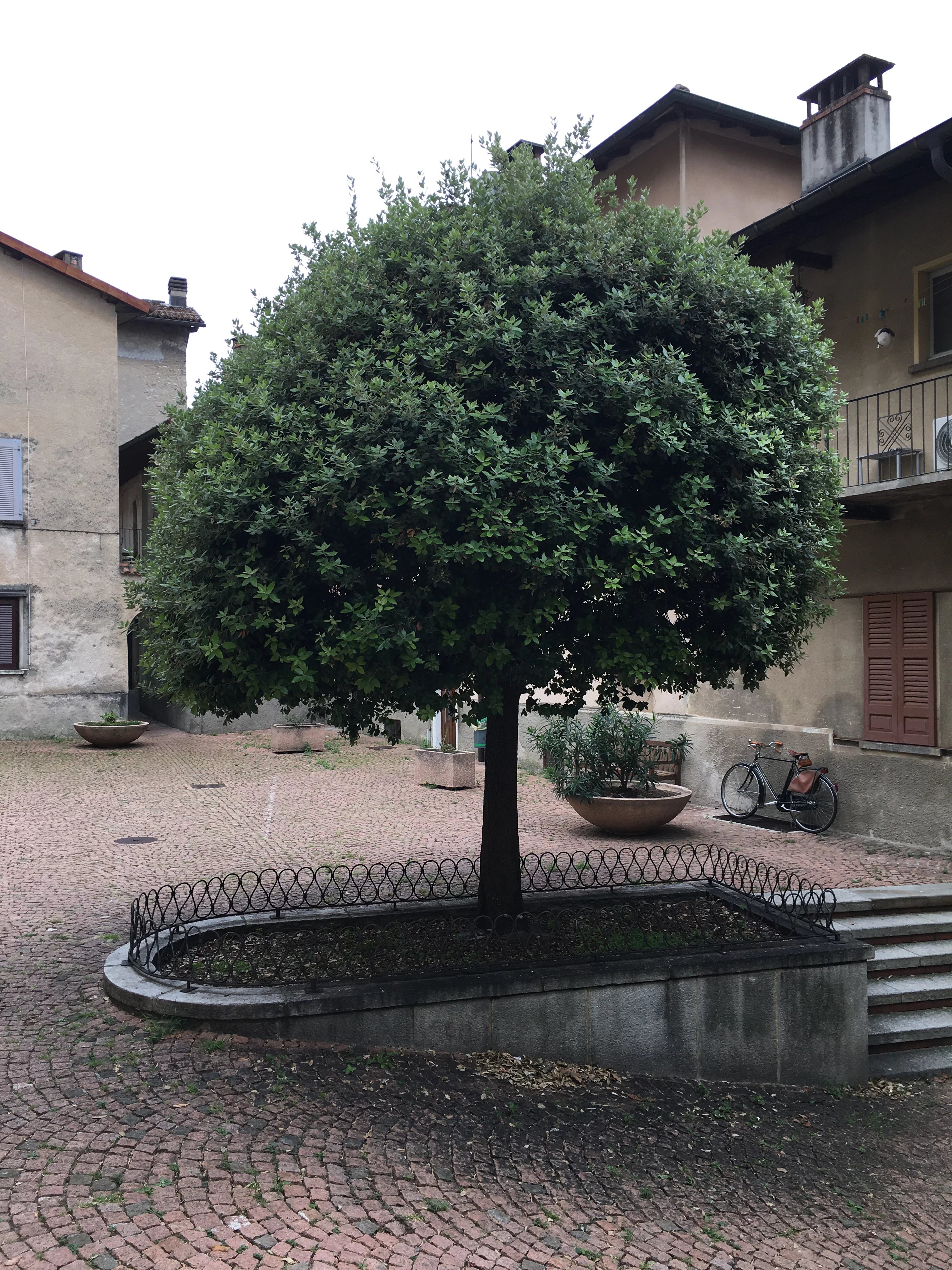 Daire Campione d'Italia - picture 9 title=
