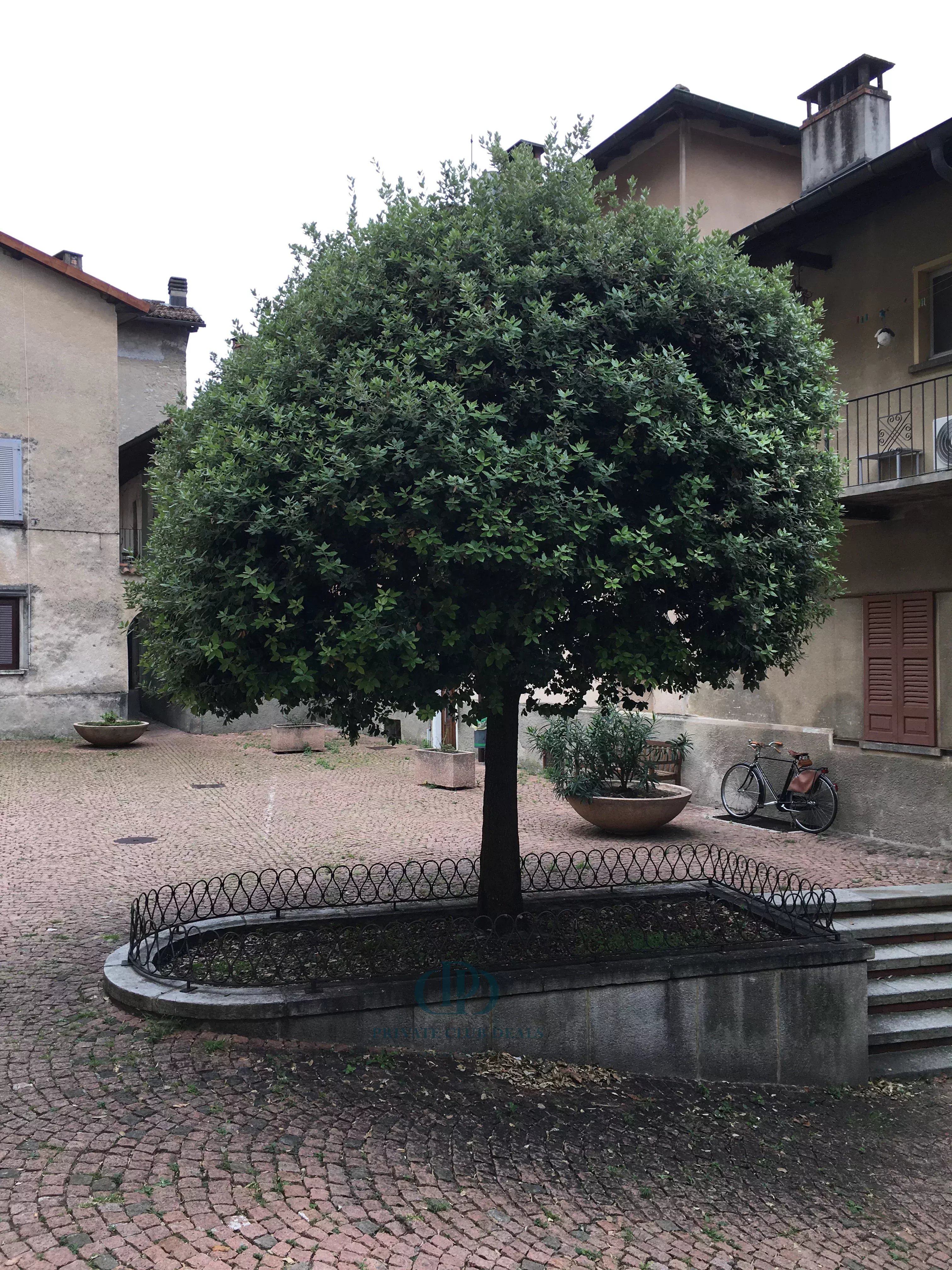 Daire Campione d'Italia - picture 9