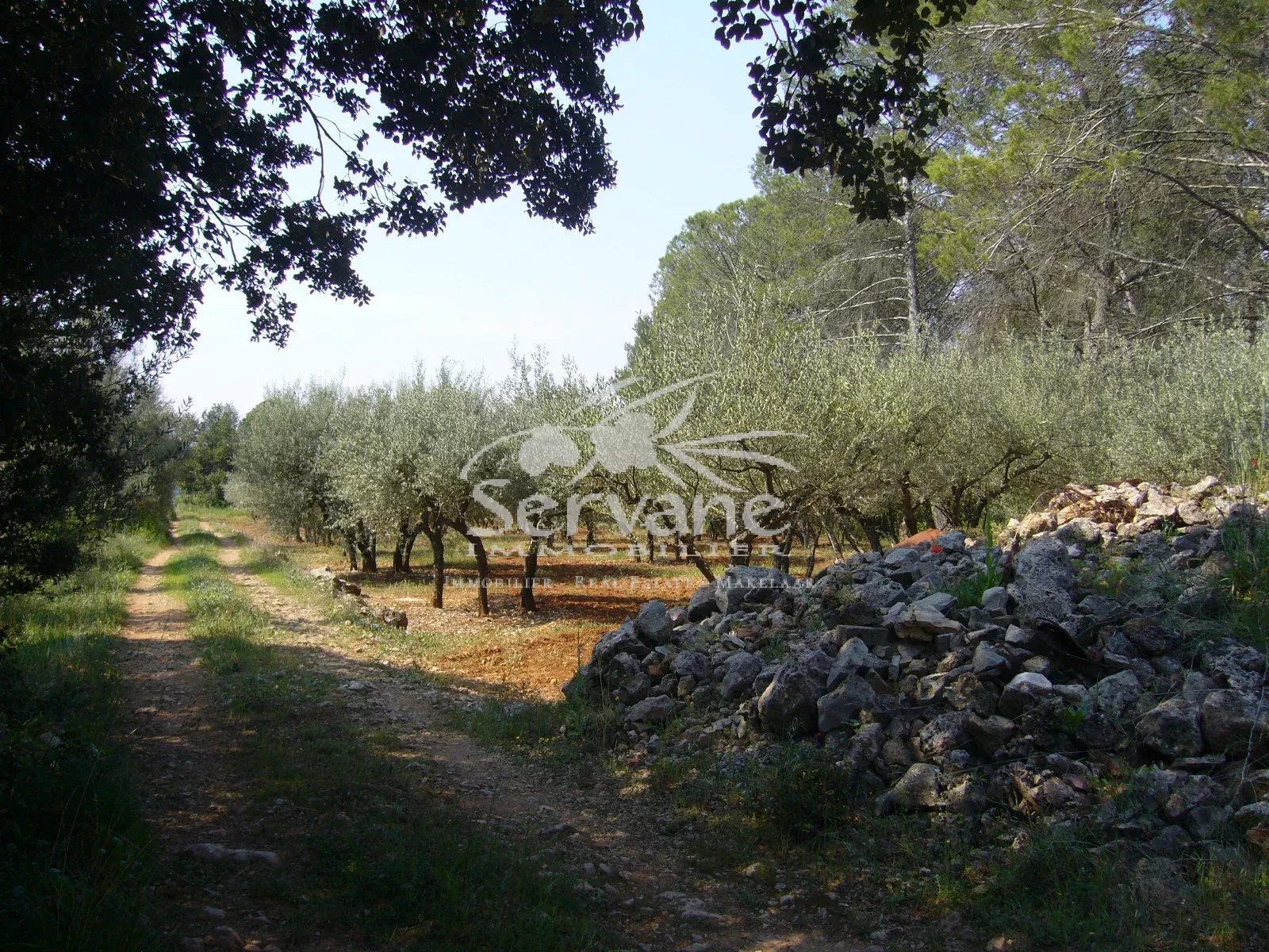 CHARMING HOUSE MONTFORT SUR ARGENS T3